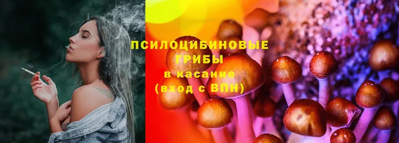 Галлюциногенные грибы Psilocybe Михайловск